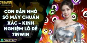 Con Rắn Nhỏ Số Mấy Chuẩn Xác - Kinh Nghiệm Lô Đề 789Win