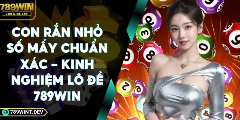 Con Rắn Nhỏ Số Mấy Chuẩn Xác - Kinh Nghiệm Lô Đề 789Win