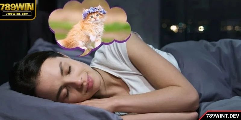 Hội viên cần cập nhật thường xuyên các gợi ý từ 789Win