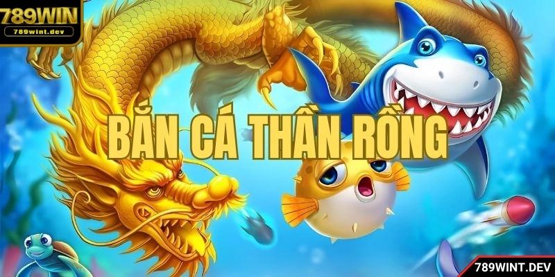 Luật chơi dễ hiểu, người mới cũng có thể bắt đầu nhanh chóng