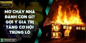 Mơ Cháy Nhà Đánh Con Gì? Gợi Ý Giá Trị Tăng Cơ Hội Trúng Lô