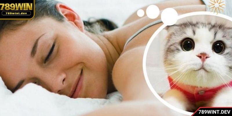 Mỗi trường hợp sẽ tương ứng với bộ lô khác nhau
