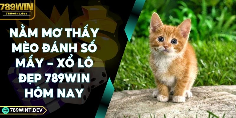 Nằm Mơ Thấy Mèo Đánh Số Mấy - Xổ Lô Đẹp 789Win Hôm Nay