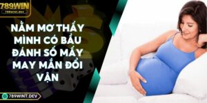 Nằm Mơ Thấy Mình Có Bầu Đánh Số Mấy May Mắn Đổi Vận