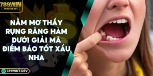 Nằm Mơ Thấy Rụng Răng Hàm Dưới Giải Mã Điềm Báo Tốt Xấu